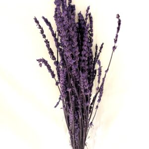 Lavender Flower